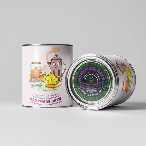 Homemade Brew Tea Kit – Grow Your Own Herbal Tea | Eco Gift by The Plant Gift Co. | Herb Growing Kit | HMM - BRW - GRW - YR | AllotMate Essentials