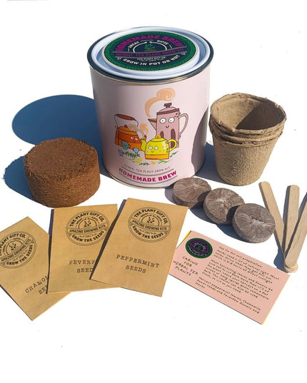Homemade Brew Tea Kit – Grow Your Own Herbal Tea | Eco Gift by The Plant Gift Co. | Herb Growing Kit | HMM - BRW - GRW - YR | AllotMate Essentials