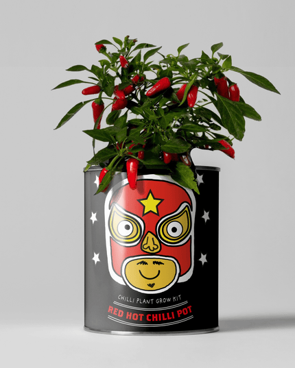 Hot Chilli Plant Grow Kit – Gift for Gardeners | The Plant Gift Co. | Plant Growing Kit | THEPLANTCO - HOTCHILLIPLANTS | AllotMate Essentials