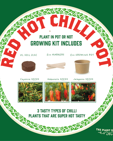 Hot Chilli Plant Grow Kit – Gift for Gardeners | The Plant Gift Co. | Plant Growing Kit | THEPLANTCO - HOTCHILLIPLANTS | AllotMate Essentials