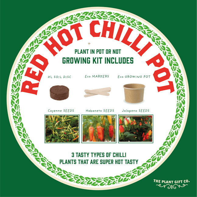 The Plant Gift Co. The Plant Gift Co. - Hot Chilli Plants - Plant Growing Kit - AllotMate Essentials - THEPLANTCO - HOTCHILLIPLANTS - 