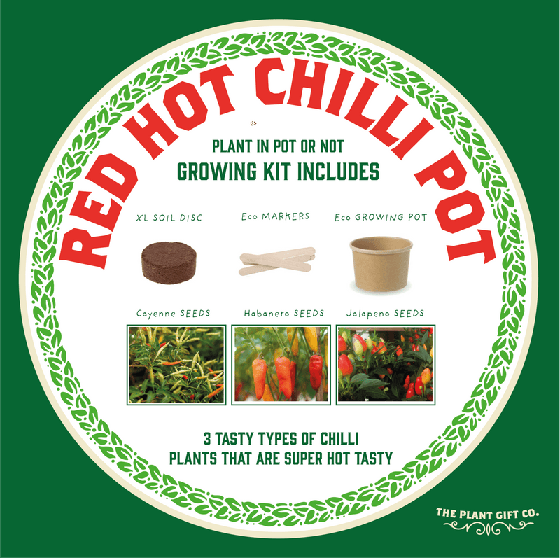 Hot Chilli Plant Grow Kit – Gift for Gardeners | The Plant Gift Co. | Plant Growing Kit | THEPLANTCO - HOTCHILLIPLANTS | AllotMate Essentials