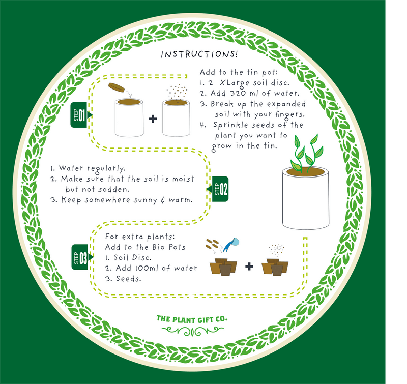 Hot Chilli Plant Grow Kit – Gift for Gardeners | The Plant Gift Co. | Plant Growing Kit | THEPLANTCO - HOTCHILLIPLANTS | AllotMate Essentials