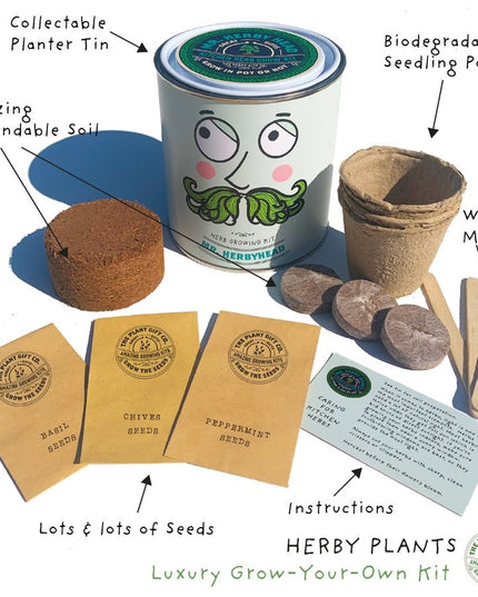 Kitchen Herb Plant Kit – Grow Your Own Herbs Indoors | The Plant Gift Co. | Herb Growing Kit | THEPLANTCO - HERB | AllotMate Essentials