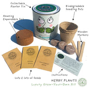 Kitchen Herb Plant Kit – Grow Your Own Herbs Indoors | The Plant Gift Co. | Herb Growing Kit | THEPLANTCO - HERB | AllotMate Essentials