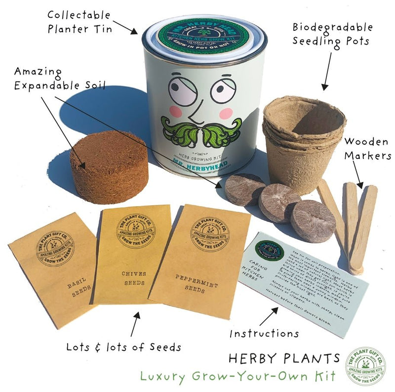 Kitchen Herb Plant Kit – Grow Your Own Herbs Indoors | The Plant Gift Co. | Herb Growing Kit | THEPLANTCO - HERB | AllotMate Essentials