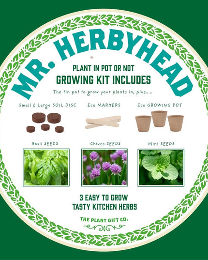 Kitchen Herb Plant Kit – Grow Your Own Herbs Indoors | The Plant Gift Co. | Herb Growing Kit | THEPLANTCO - HERB | AllotMate Essentials