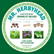 Kitchen Herb Plant Kit – Grow Your Own Herbs Indoors | The Plant Gift Co. | Herb Growing Kit | THEPLANTCO - HERB | AllotMate Essentials