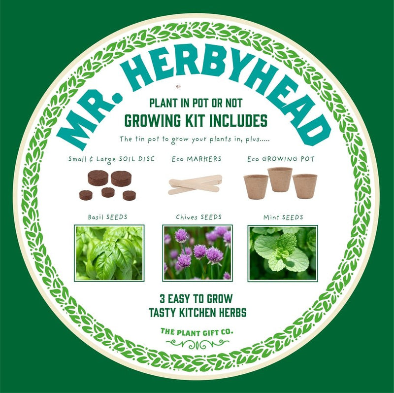 Kitchen Herb Plant Kit – Grow Your Own Herbs Indoors | The Plant Gift Co. | Herb Growing Kit | THEPLANTCO - HERB | AllotMate Essentials