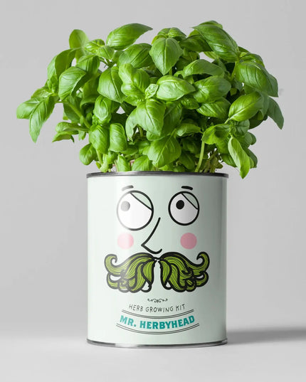 Kitchen Herb Plant Kit – Grow Your Own Herbs Indoors | The Plant Gift Co. | Herb Growing Kit | THEPLANTCO - HERB | AllotMate Essentials