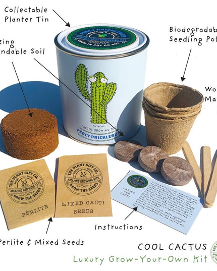 Percy Pricklebum Cactus Kit – Grow Your Own Gift for Plant Lovers | The Plant Gift Co. | Plant Growing Kit | PRC - PRC | AllotMate Essentials