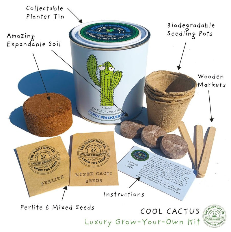 Percy Pricklebum Cactus Kit – Grow Your Own Gift for Plant Lovers | The Plant Gift Co. | Plant Growing Kit | PRC - PRC | AllotMate Essentials