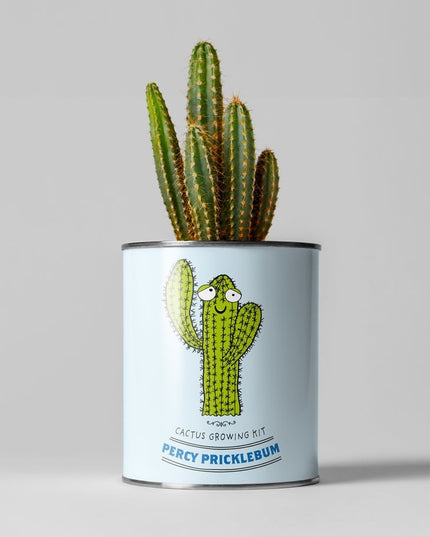 Percy Pricklebum Cactus Kit – Grow Your Own Gift for Plant Lovers | The Plant Gift Co. | Plant Growing Kit | PRC - PRC | AllotMate Essentials