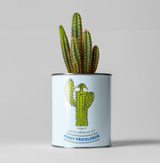 Percy Pricklebum Cactus Kit – Grow Your Own Gift for Plant Lovers | The Plant Gift Co. | Plant Growing Kit | PRC - PRC | AllotMate Essentials
