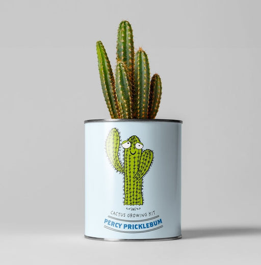 Percy Pricklebum Cactus Kit – Grow Your Own Gift for Plant Lovers | The Plant Gift Co. | Plant Growing Kit | PRC - PRC | AllotMate Essentials