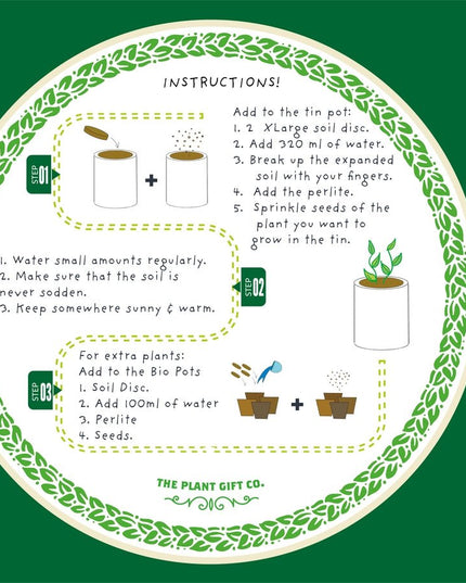 Percy Pricklebum Cactus Kit – Grow Your Own Gift for Plant Lovers | The Plant Gift Co. | Plant Growing Kit | PRC - PRC | AllotMate Essentials