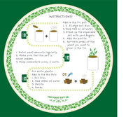 Percy Pricklebum Cactus Kit – Grow Your Own Gift for Plant Lovers | The Plant Gift Co. | Plant Growing Kit | PRC - PRC | AllotMate Essentials