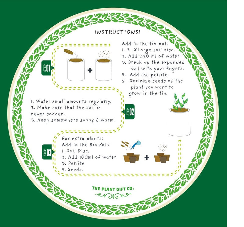 Percy Pricklebum Cactus Kit – Grow Your Own Gift for Plant Lovers | The Plant Gift Co. | Plant Growing Kit | PRC - PRC | AllotMate Essentials