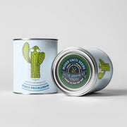 Percy Pricklebum Cactus Kit – Grow Your Own Gift for Plant Lovers | The Plant Gift Co. | Plant Growing Kit | PRC - PRC | AllotMate Essentials