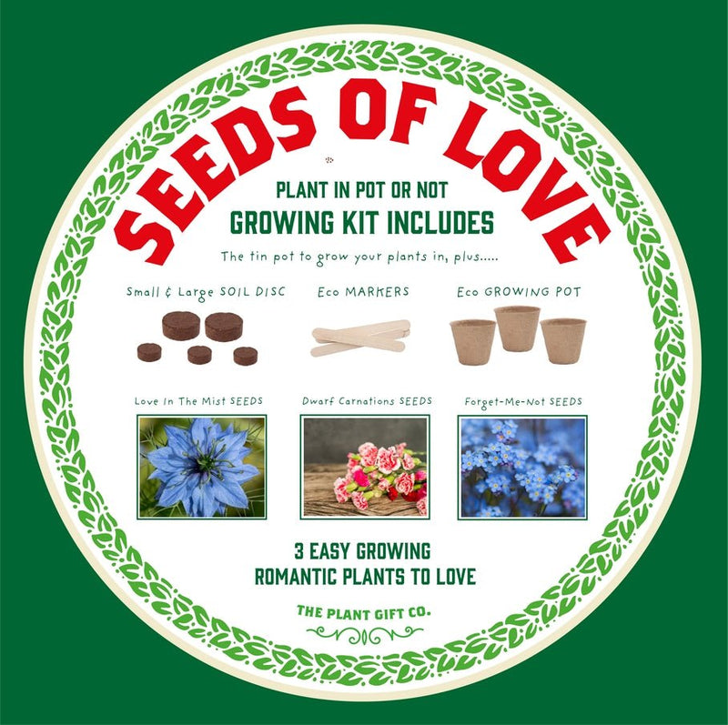 Seeds of Love Plant Kit – Eco - Friendly Romantic Gift | The Plant Gift Co. | Flower Plant Kit | SDS - OF - LV - GRW | AllotMate Essentials