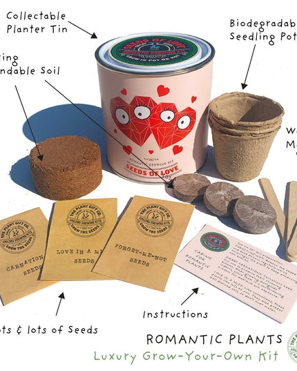 Seeds of Love Plant Kit – Eco - Friendly Romantic Gift | The Plant Gift Co. | Flower Plant Kit | SDS - OF - LV - GRW | AllotMate Essentials