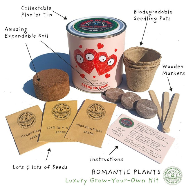 The Plant Gift Co. The Plant Gift Co. - Seeds of Love. Grow Your Own Plant Kit - Flower Plant Kit - AllotMate Essentials - SDS - OF - LV - GRW - 