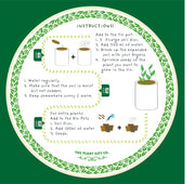 Seeds of Love Plant Kit – Eco - Friendly Romantic Gift | The Plant Gift Co. | Flower Plant Kit | SDS - OF - LV - GRW | AllotMate Essentials