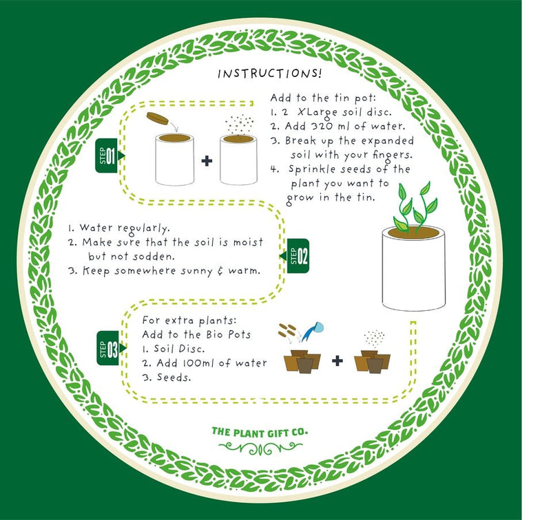 Seeds of Love Plant Kit – Eco - Friendly Romantic Gift | The Plant Gift Co. | Flower Plant Kit | SDS - OF - LV - GRW | AllotMate Essentials