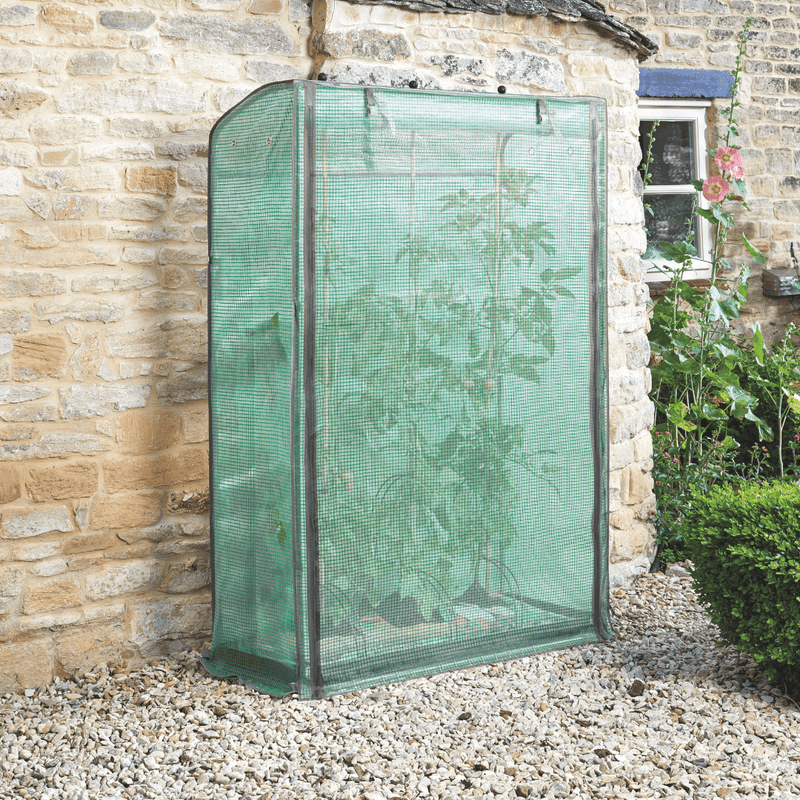 Tomato GroZone Growhouse, 1.5m x 1m x 0.4m | Greenhouse | 6510005 Tomato GroZone | AllotMate Essentials
