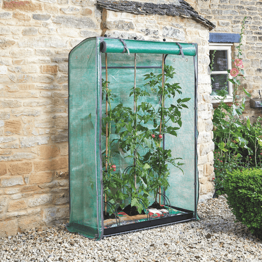 Tomato GroZone Growhouse, 1.5m x 1m x 0.4m | Greenhouse | 6510005 Tomato GroZone | AllotMate Essentials