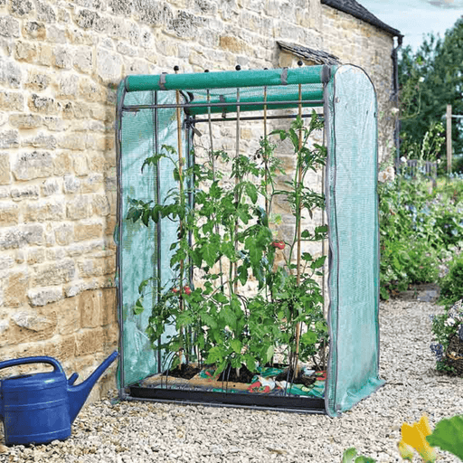 Tomato GroZone Max Growhouse, 1.5m x 1m x 0.8m | Growhouse | 6510006 5050642018272 | AllotMate Essentials