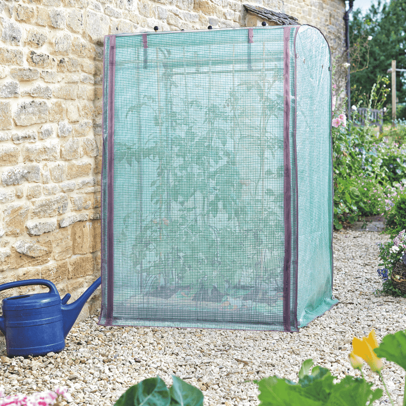 Tomato GroZone Max Growhouse, 1.5m x 1m x 0.8m | Growhouse | 6510006 5050642018272 | AllotMate Essentials