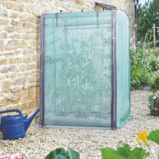 Tomato GroZone Max Growhouse, 1.5m x 1m x 0.8m | Growhouse | 6510006 5050642018272 | AllotMate Essentials