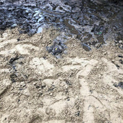 TurfSand | Topsoil & Compost | DTSJBB Custom Product | AllotMate Essentials