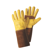 Ultimate Golden Leather Gauntlet L9: large-sized leather gauntlet gloves with forearm protection and thorn resistant palm | Professional Gloves | 5050642049085 5050642049085 | AllotMate Essentials