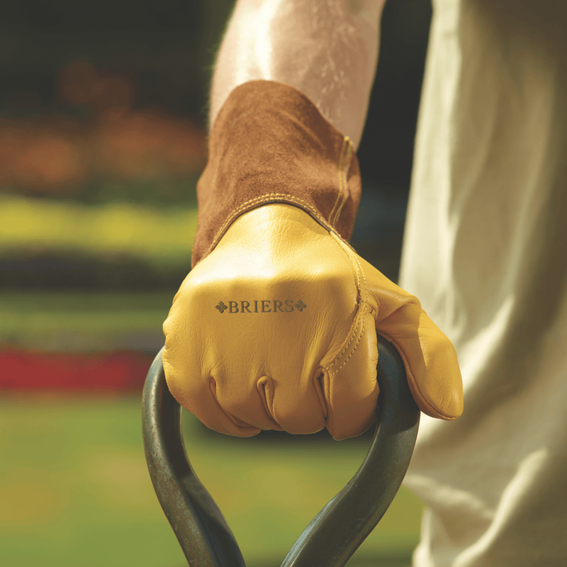 Ultimate Golden Leather Gauntlet L9: large-sized leather gauntlet gloves with forearm protection and thorn resistant palm | Professional Gloves | 5050642049085 5050642049085 | AllotMate Essentials