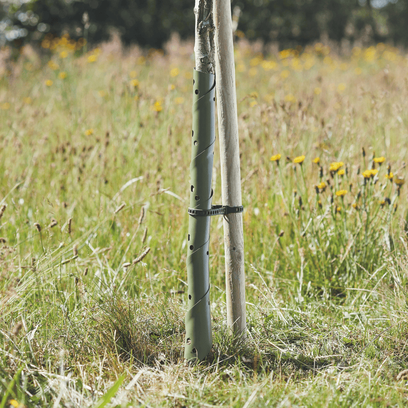 Useful Spiral Tree Guard, 60 cm | Plant Protection | 8800009 5050642071093 | AllotMate Essentials