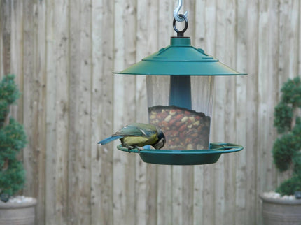 Lantern Bird Seed & Nut Feeder – Hanging Feeder for Wild Birds | Garland
