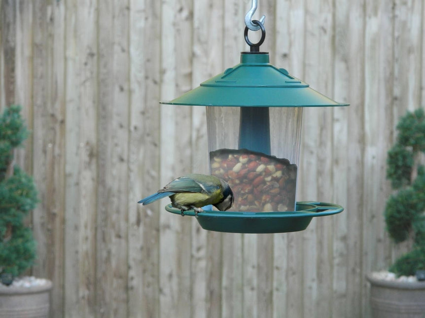 Garland Lantern Bird Seed & Nut Feeder