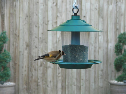 Lantern Bird Seed & Nut Feeder – Hanging Feeder for Wild Birds | Garland