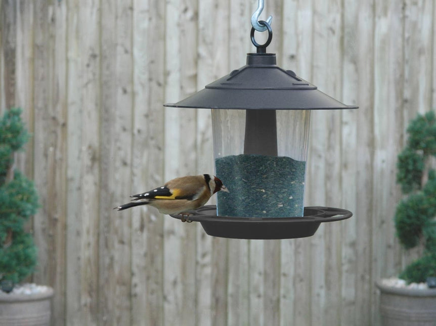 Garland Lantern Bird Seed & Nut Feeder