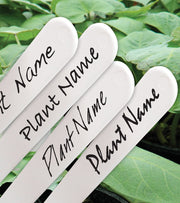 Waterproof Garden Marker – Permanent Plant Labelling Pen in Black or White | Garland | Garden Marker | 5031670508508 5031670508508 | AllotMate Essentials