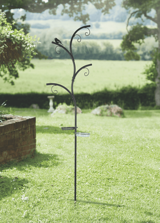 Wild Wings Bird Dining Station in Black | Dining Station | 7518006 5050642062053 | AllotMate Essentials