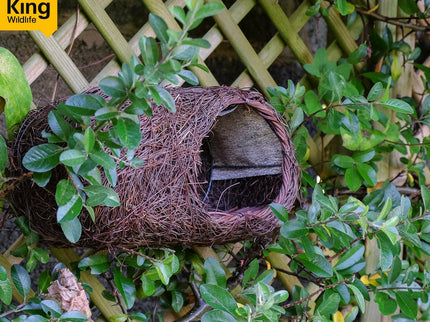 Brushwood Robin Nester – Natural Shelter for Robins & Small Birds | Wildlife World | Bird Nester | SKROBRNP 679505019253 | AllotMate Essentials