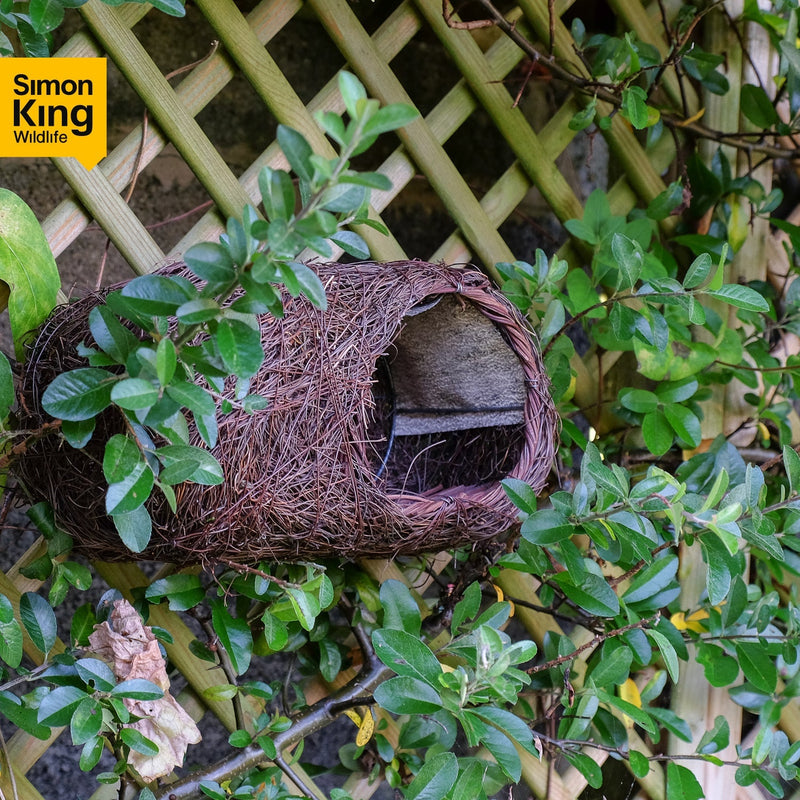 Brushwood Robin Nester – Natural Shelter for Robins & Small Birds | Wildlife World | Bird Nester | SKROBRNP 679505019253 | AllotMate Essentials
