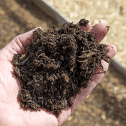 Wintermix Compost Garden Mulch | Topsoil & Compost | DWMCJB Custom Product | AllotMate Essentials