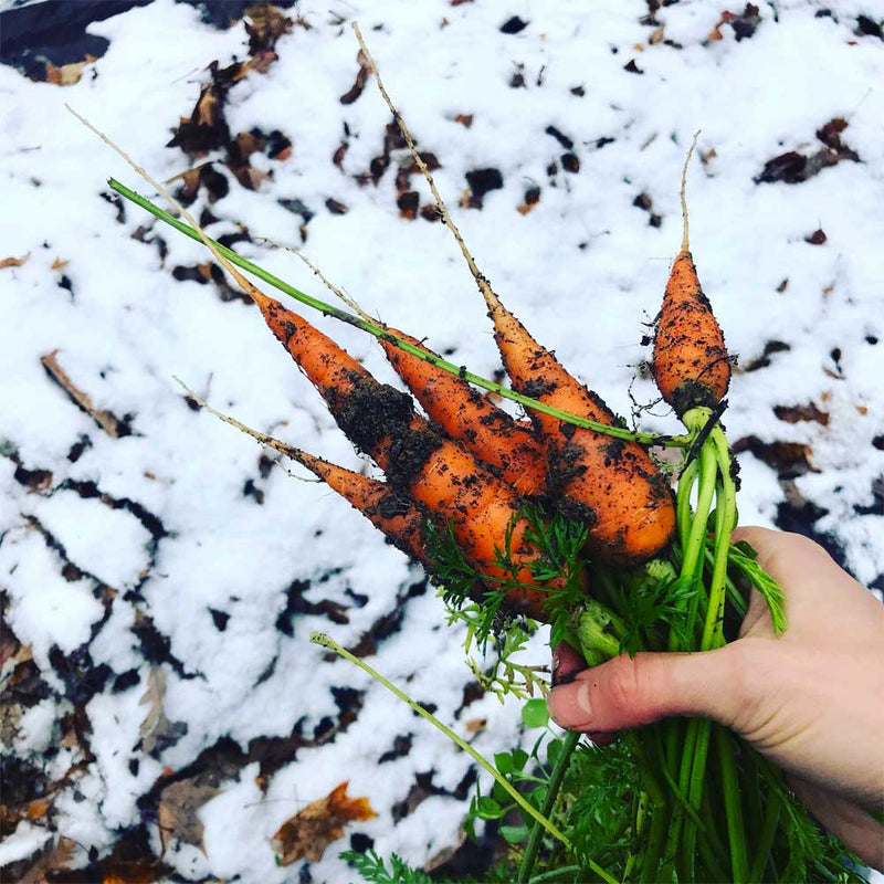 Wintermix Compost Garden Mulch | Topsoil & Compost | DWMCJB Custom Product | AllotMate Essentials