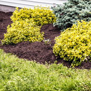 Wintermix Compost Garden Mulch | Topsoil & Compost | DWMCJB Custom Product | AllotMate Essentials