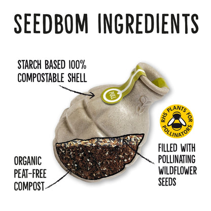  Kabloom Pollinator Beebom Seedbom PB6869 The Green Thumb Club