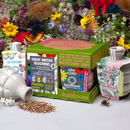  Kabloom Great British Bloomers 4 Pack Seedbom Gift Set GB0151 The Green Thumb Club